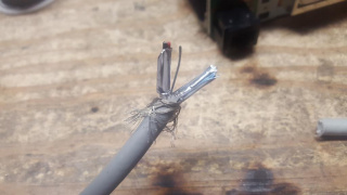 TK-n6ng devicenet wires separated.jpg